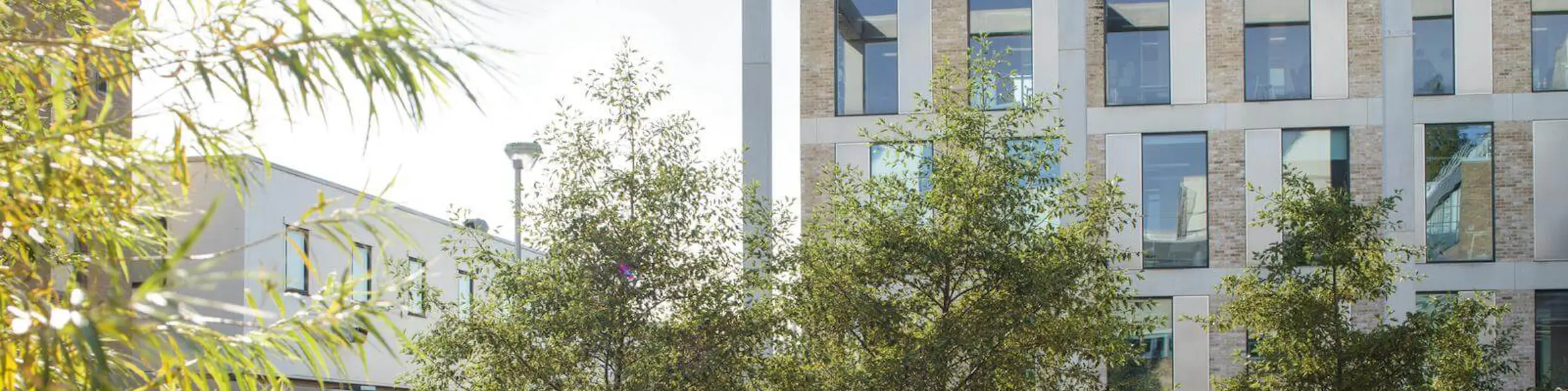 Lancaster University campus view