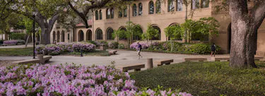 Louisiana State University campus view