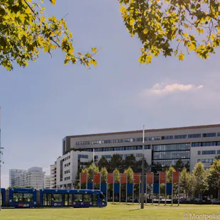 Premises of Montpellier Business School