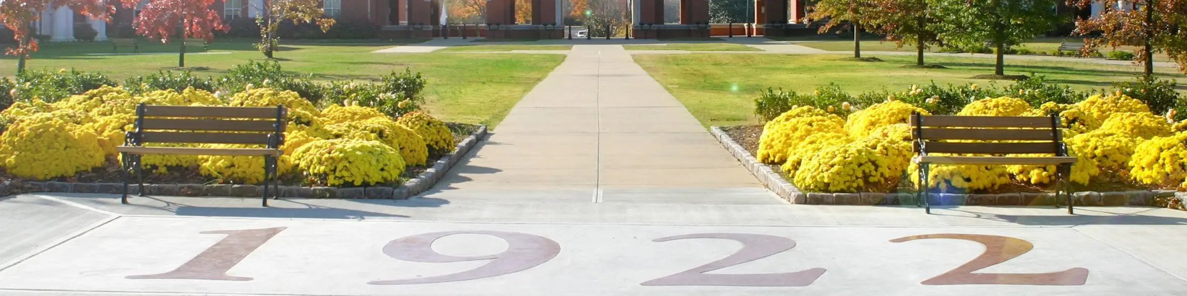 Murray State University campus view