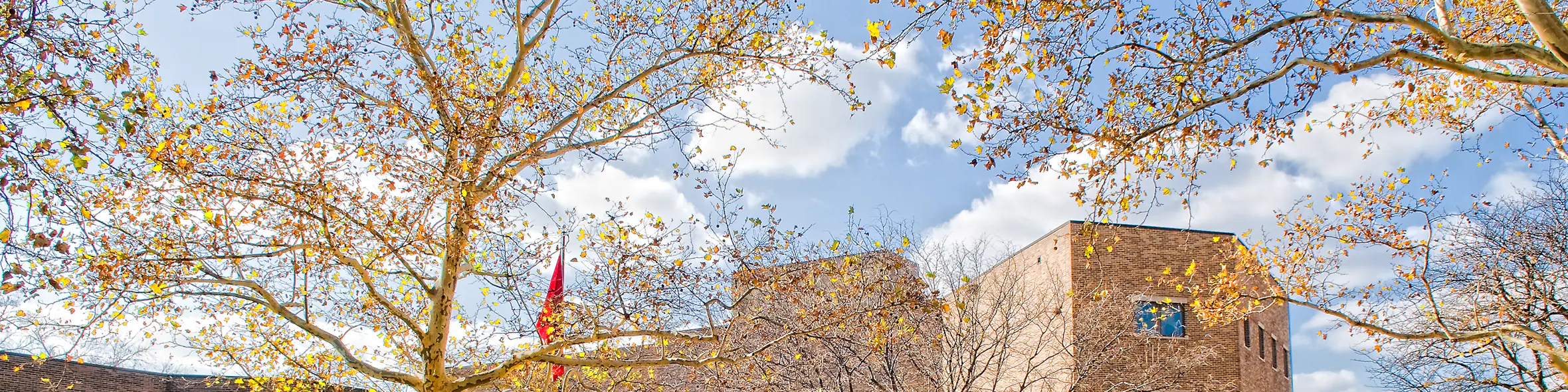 Rutgers University - Camden campus view