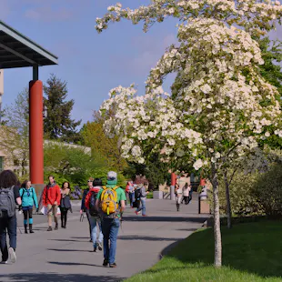 Premises of South Seattle College