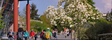 South Seattle College campus view