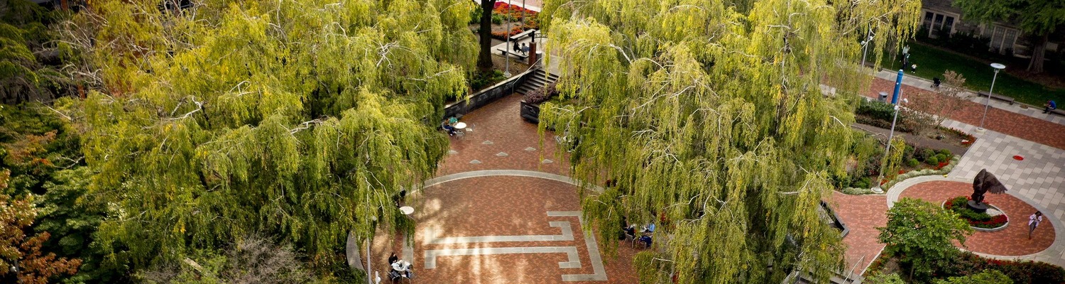Temple University campus view