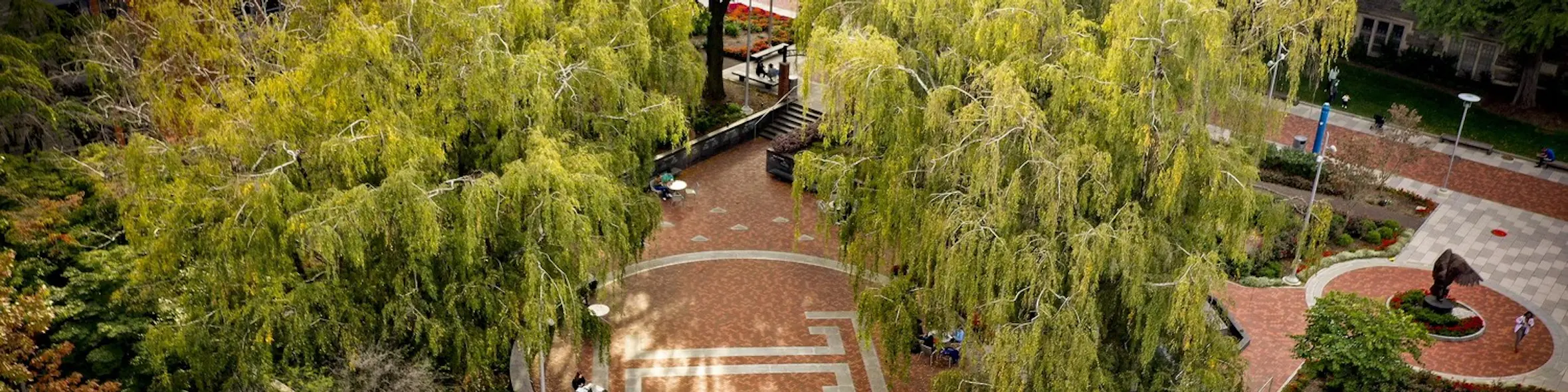Temple University campus view