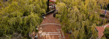 Temple University campus view