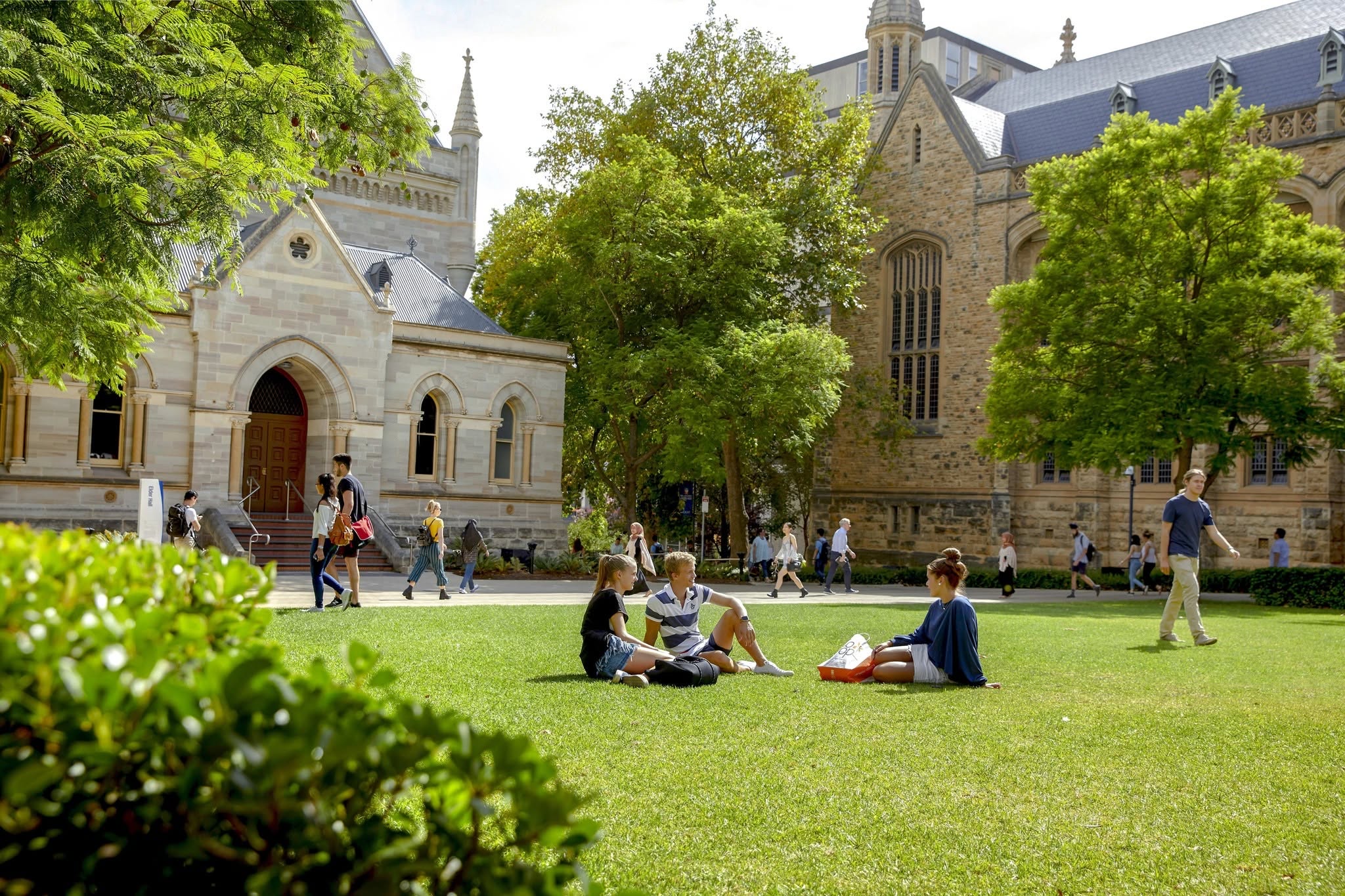 The University of Adelaide campus view