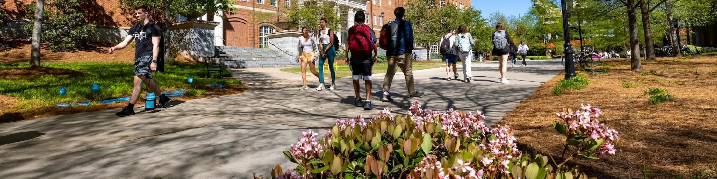 The University of Georgia campus view