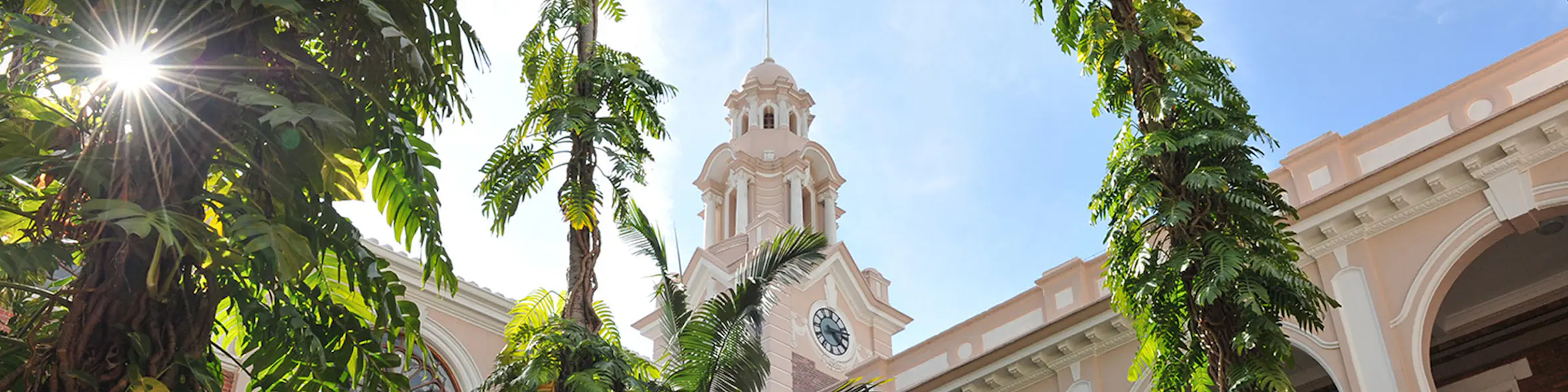 The University of Hong Kong campus view