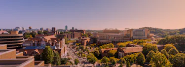 The University of Tennessee-Knoxville campus view