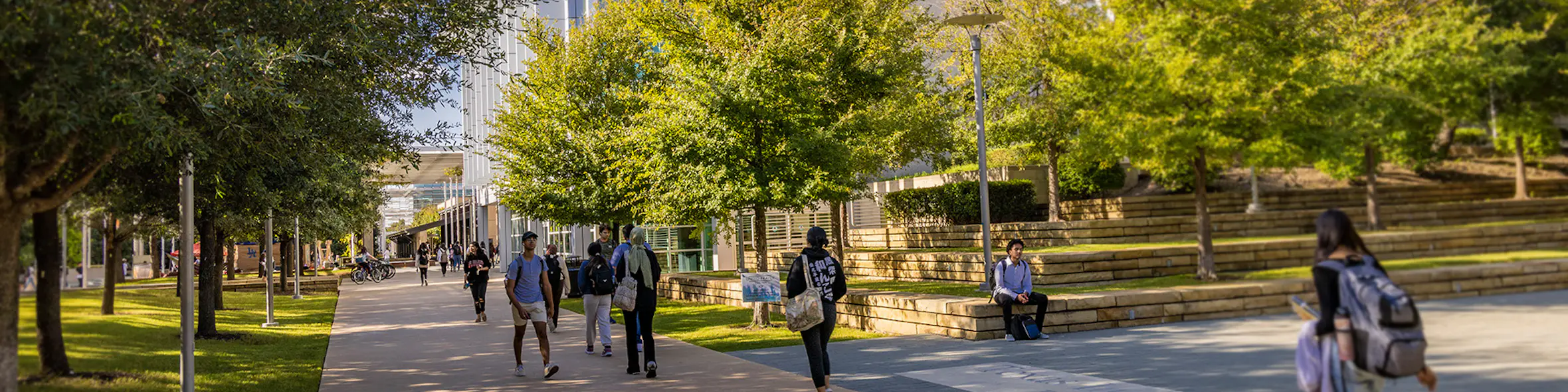The University of Texas at Dallas campus view