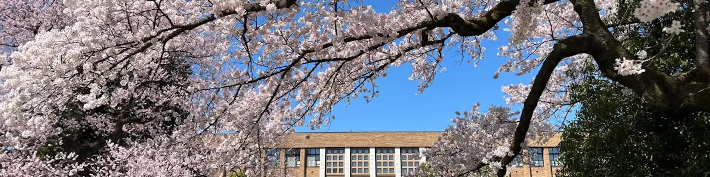 Tohoku University campus view