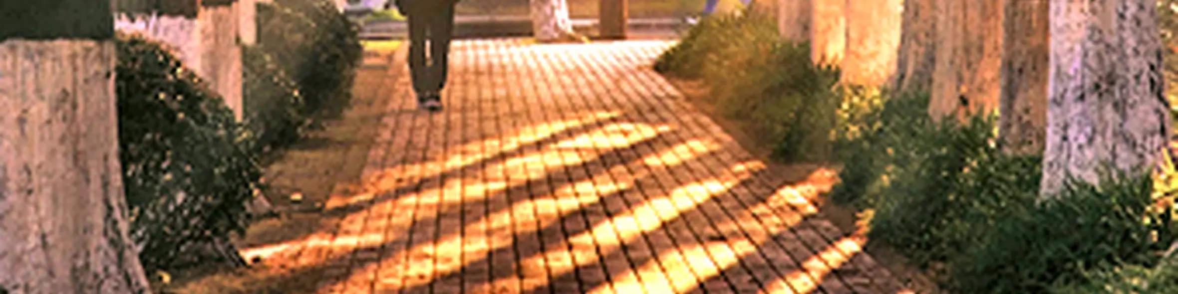 Tongji University campus view