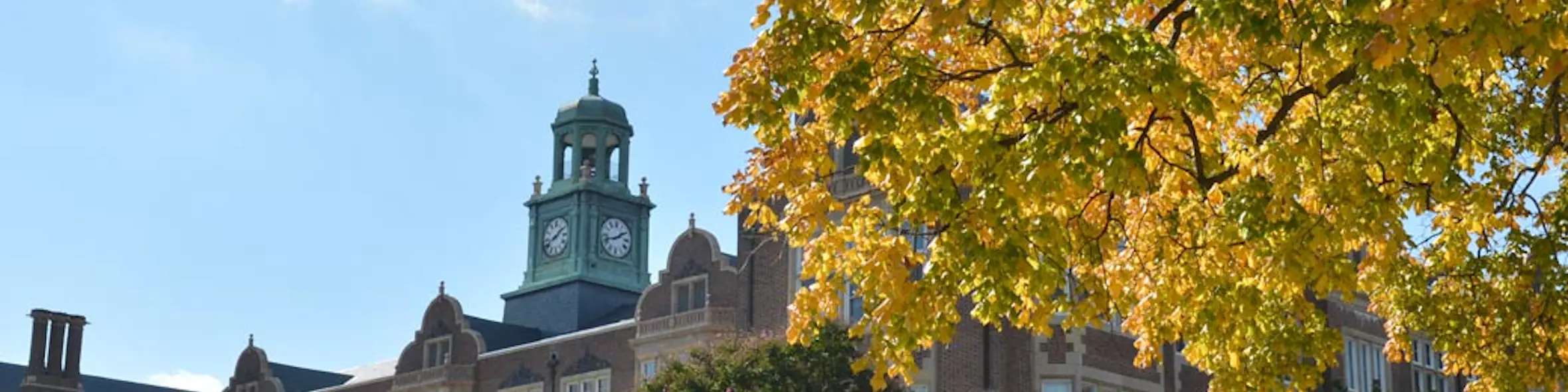 Towson University campus view