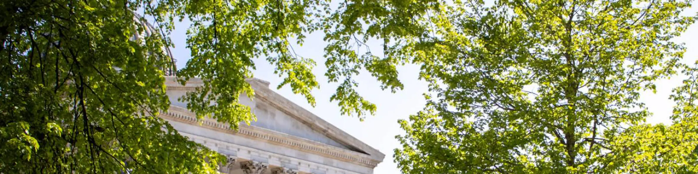 UCL campus view