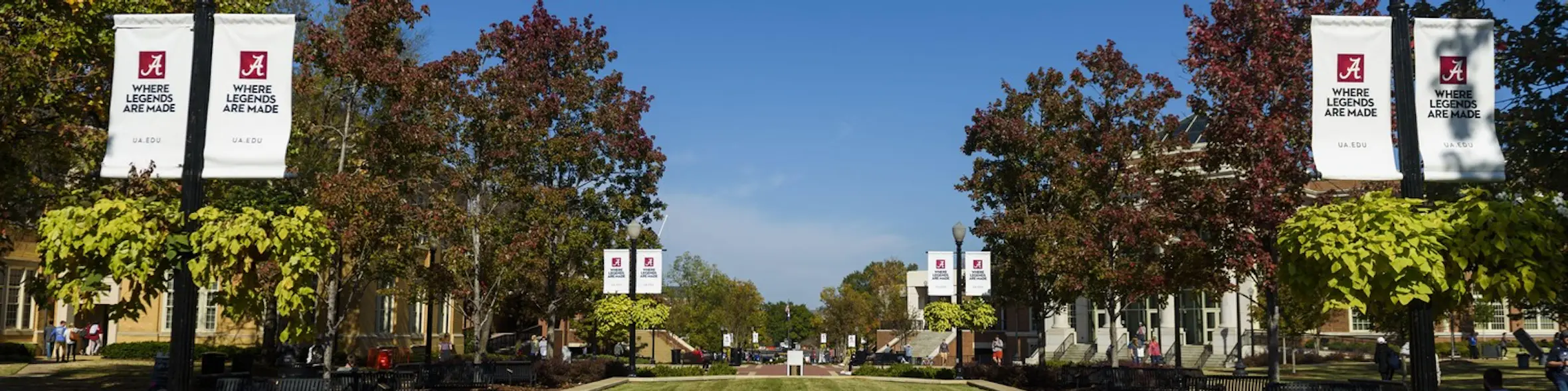 University of Alabama campus view