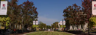 University of Alabama campus view