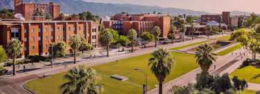 University of Arizona campus view