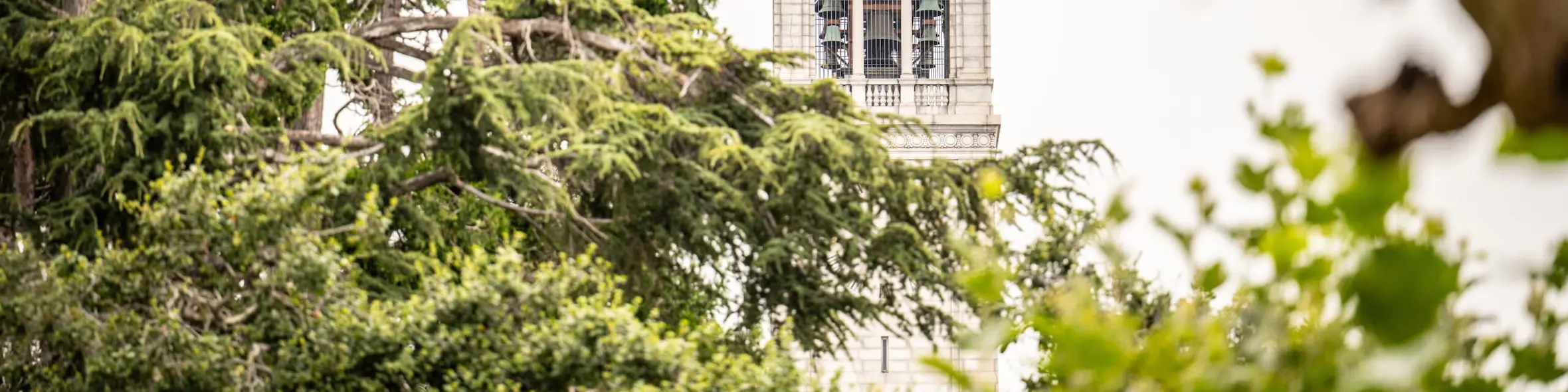 University of California Berkeley campus view
