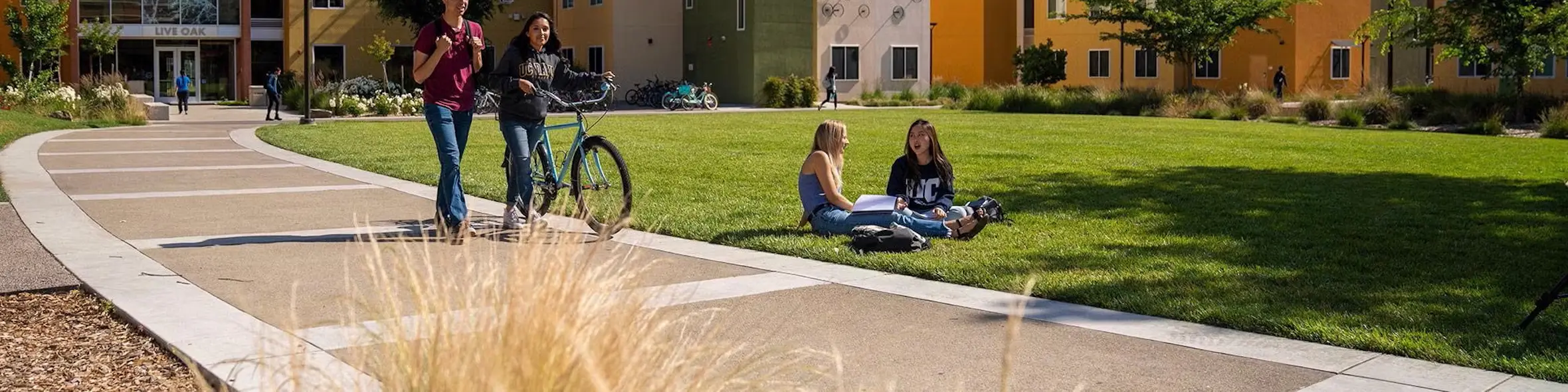 University of California Davis campus view