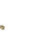 University of Colorado Denver logo