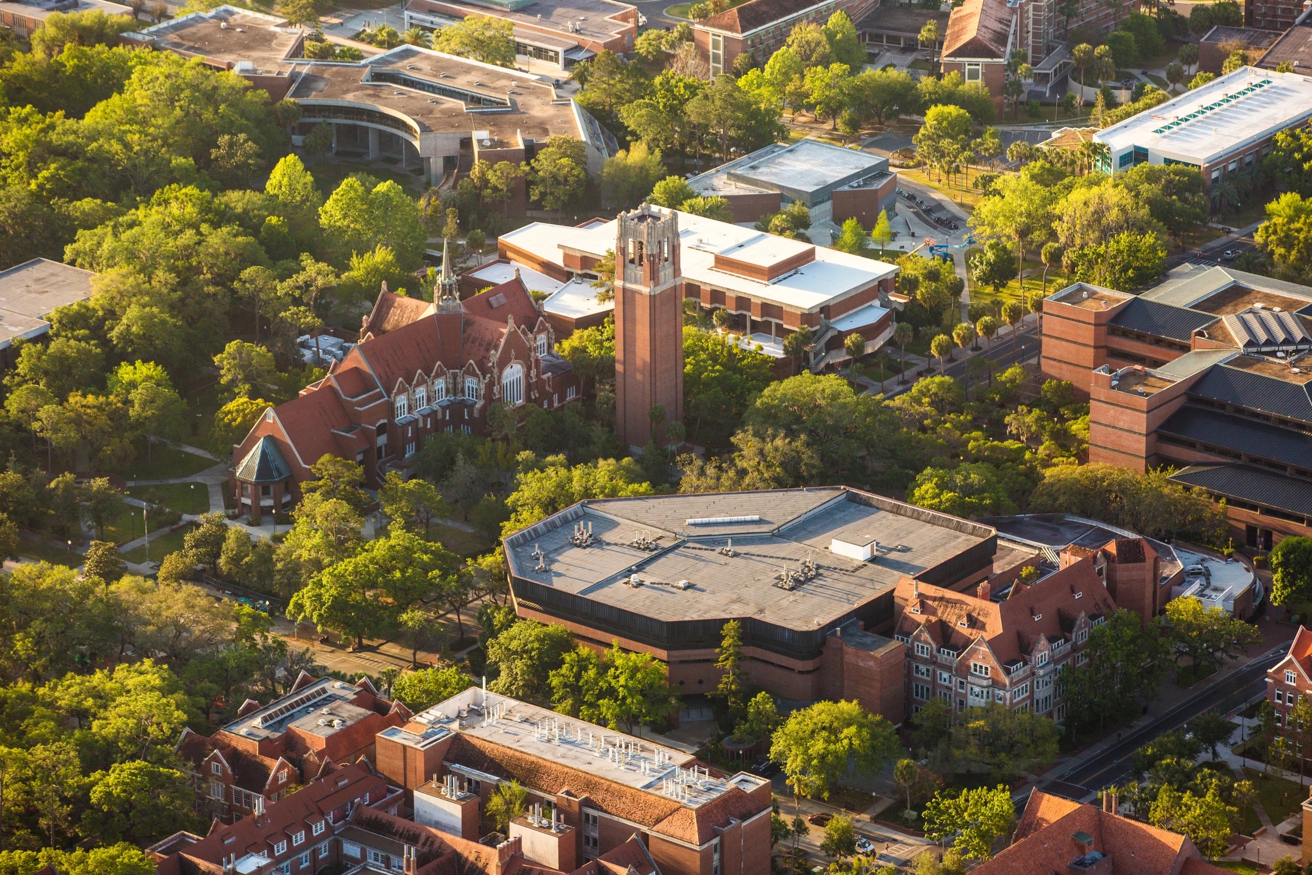 University of Florida campus view