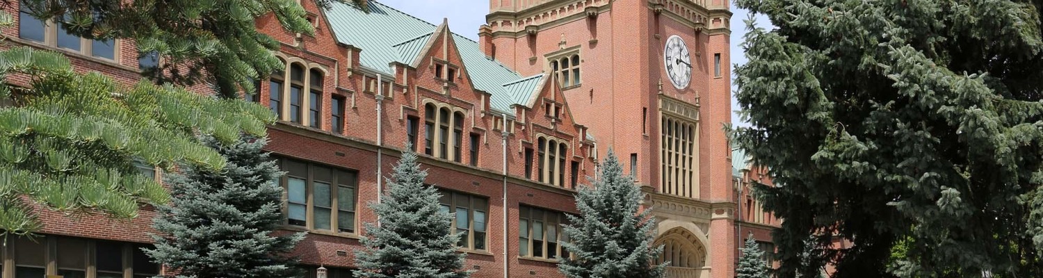 University of Idaho campus view