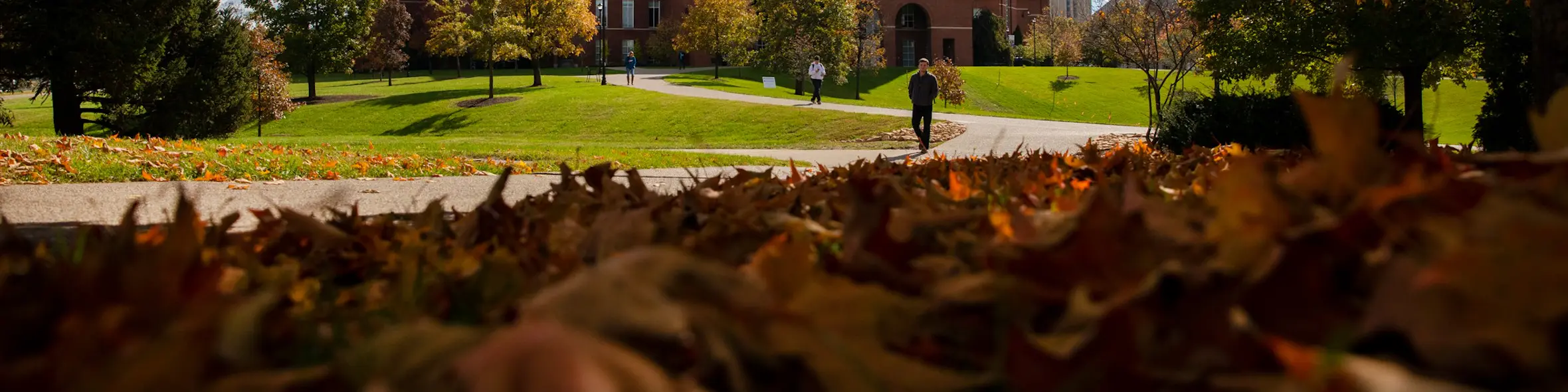 University of Kentucky campus view