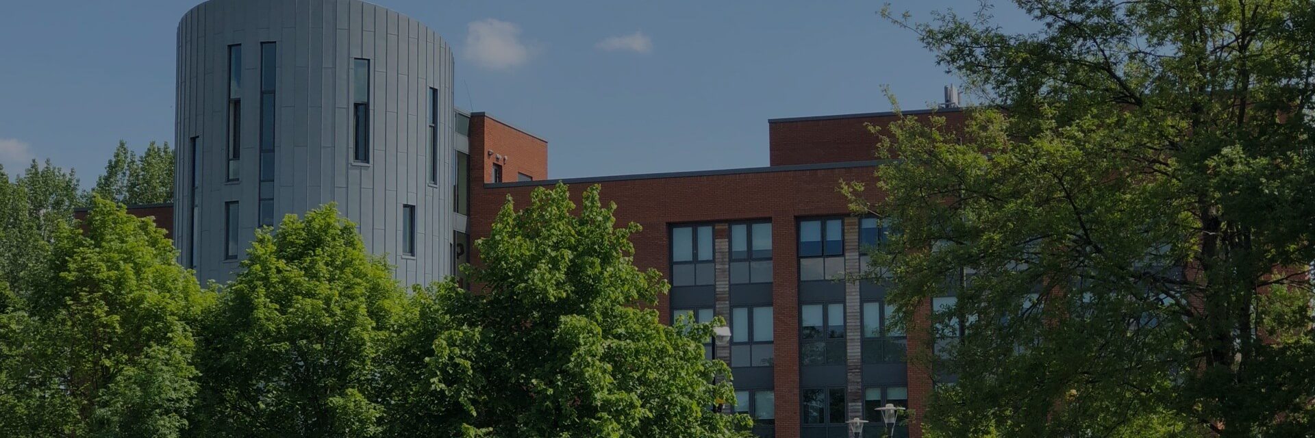 University of Limerick