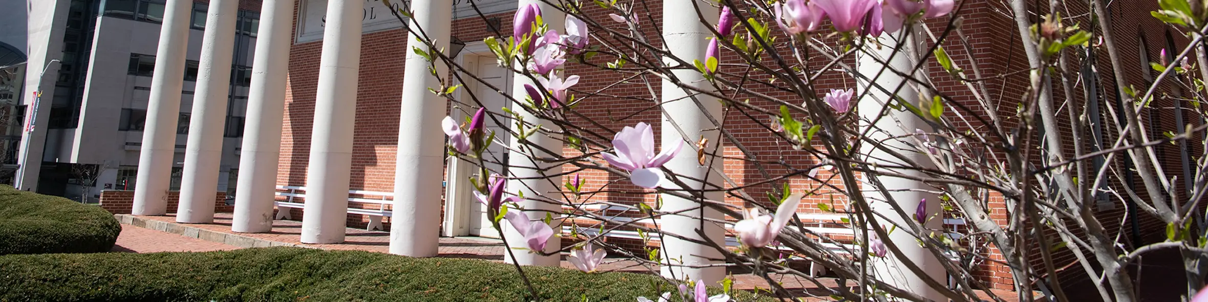University of Maryland Baltimore campus view