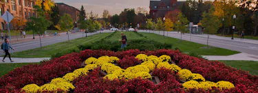 University of Minnesota, Twin Cities campus view