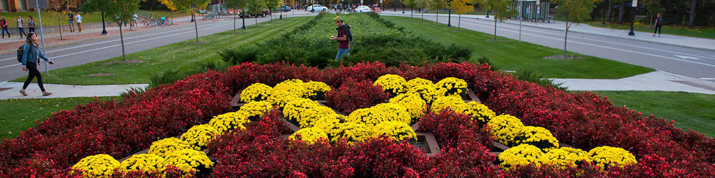 University of Minnesota, Twin Cities campus view