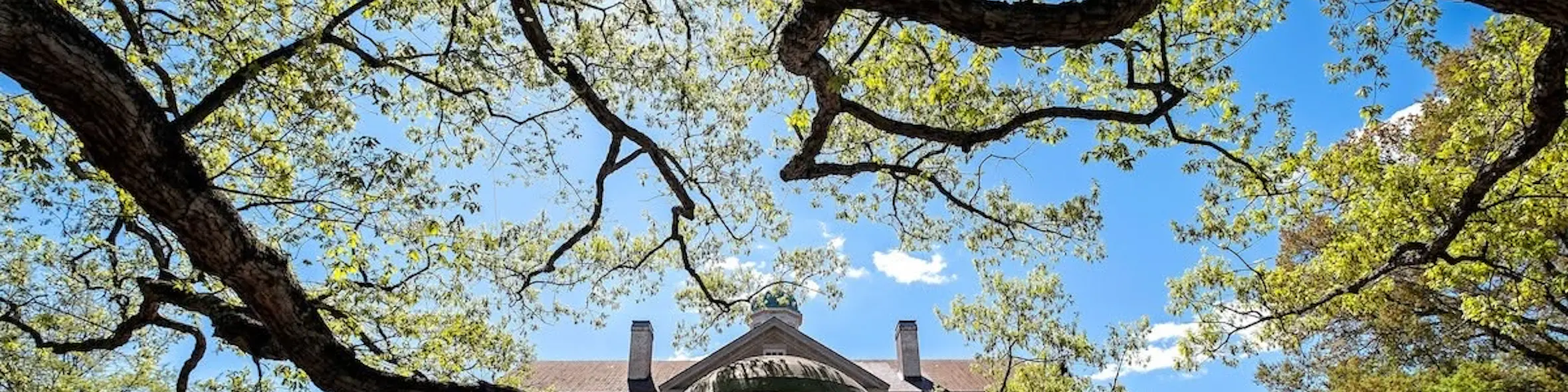 University of North Carolina at Chapel Hill campus view