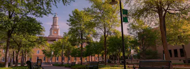University of North Texas campus view