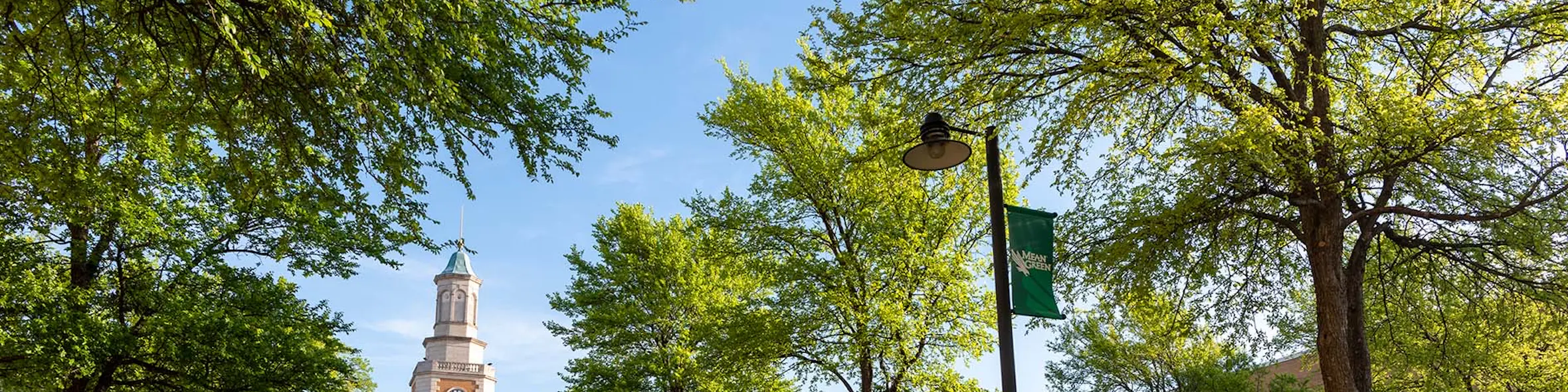 University of North Texas campus view