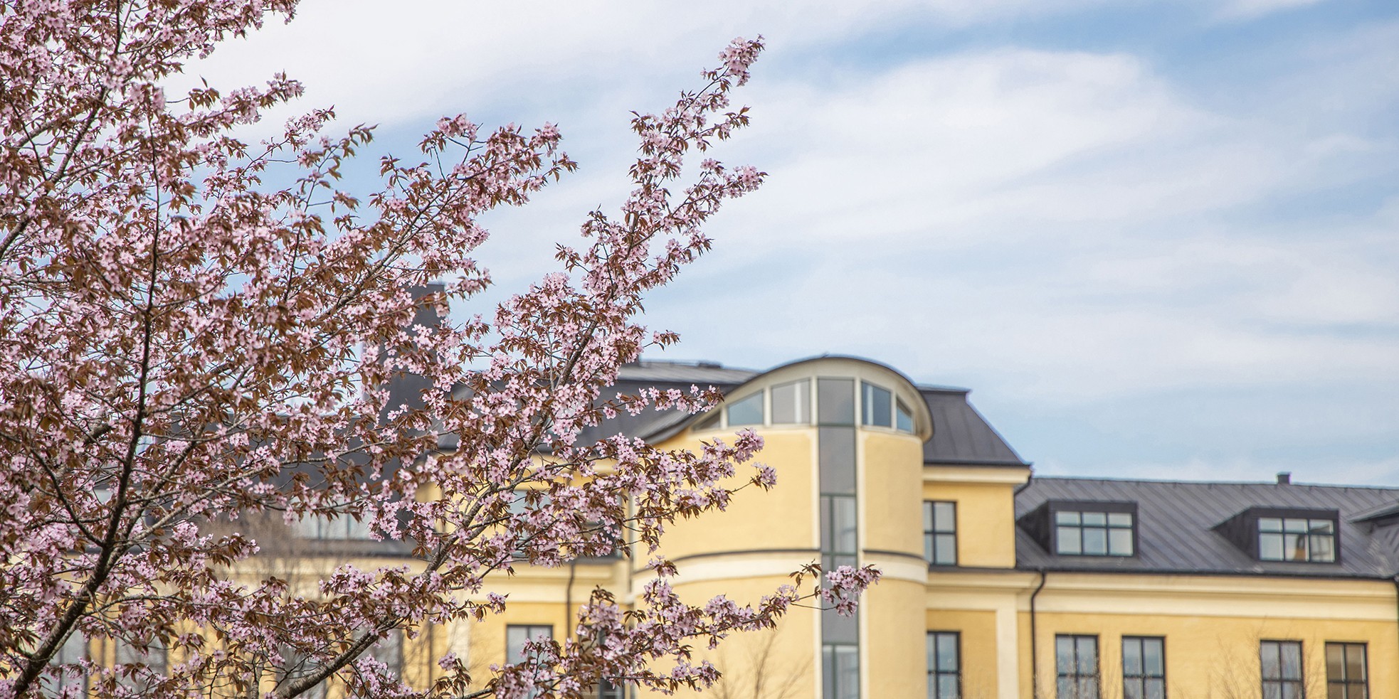 Premises of University of Skovde
