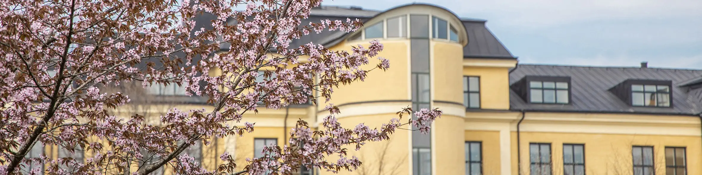 University of Skovde campus view