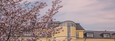 University of Skovde campus view