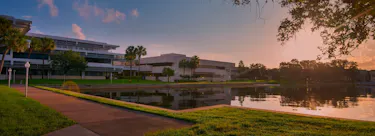 University of South Florida campus view