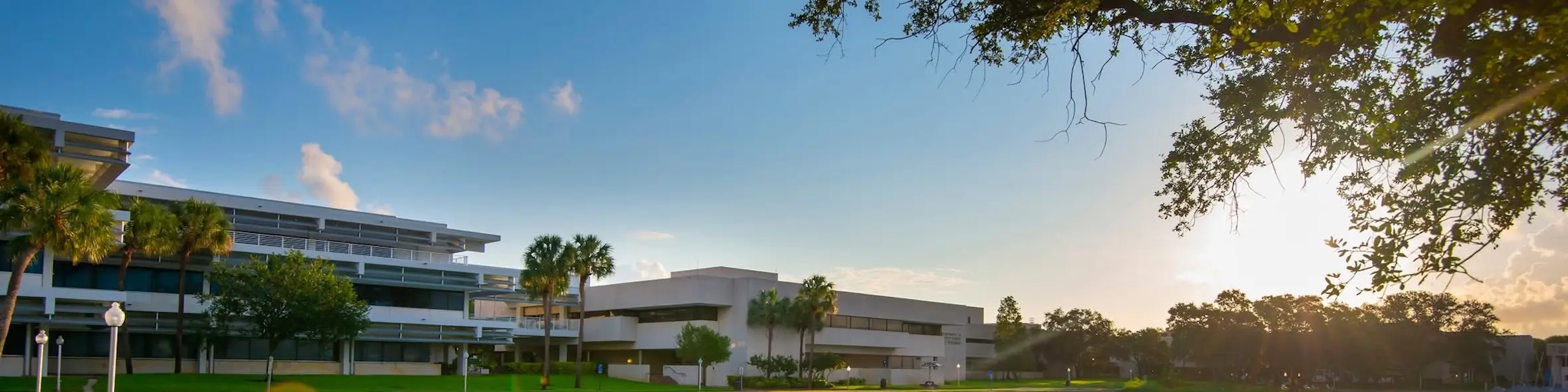 University of South Florida campus view