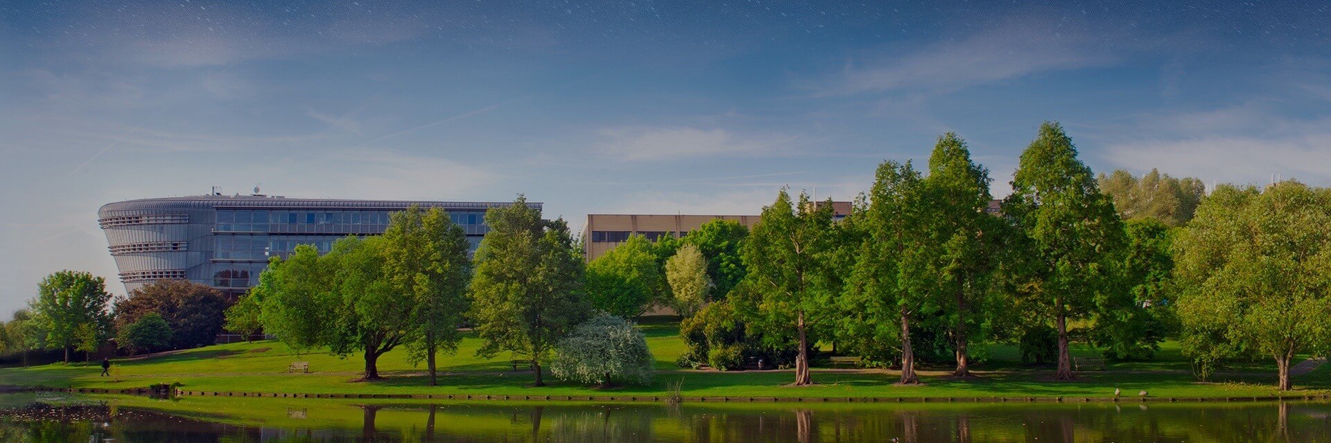 University of Surrey