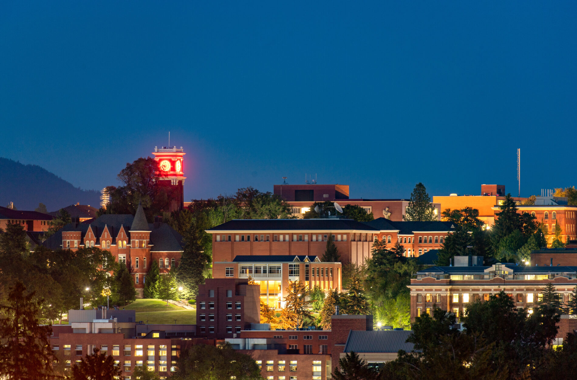 Washington State University campus view