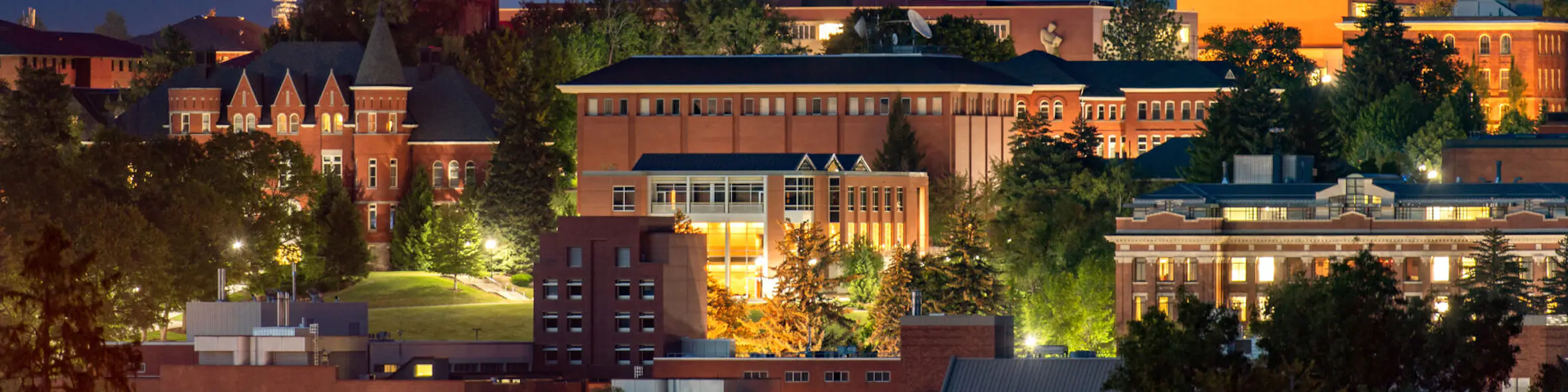 Washington State University campus view