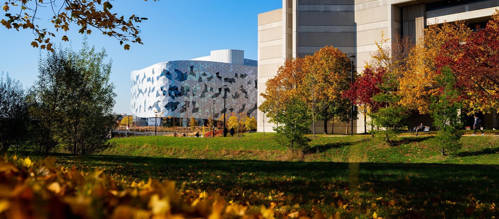 York University campus view