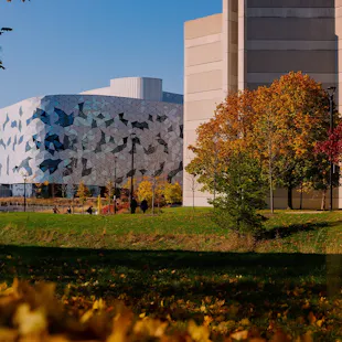 Premises of York University