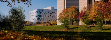 York University campus view