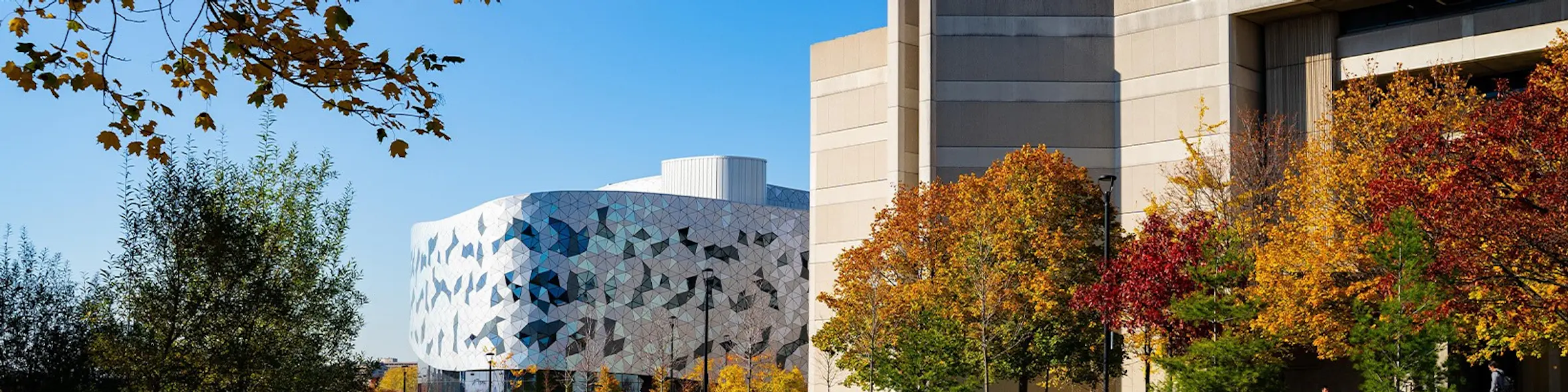York University campus view